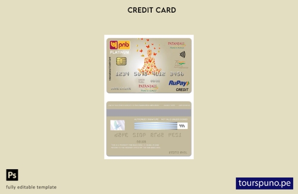 lista para imprimir plantilla de tarjeta de crédito platino India PNB Bank Patan
